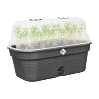 Elho green basics grow tray all-in-1 living black 32 - afbeelding 3