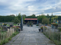De lunchroom van de Oosteinde Hillegom