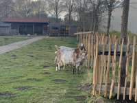 De lunchroom van de Oosteinde Vijfhuizen