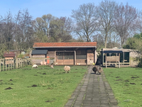 De lunchroom van de Oosteinde Vijfhuizen