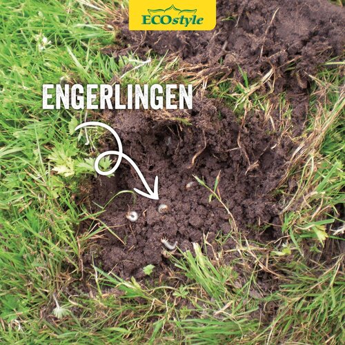 Ecostyle Aaltjes tegen engerlingen 1000 m² - afbeelding 3