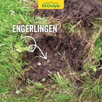 Ecostyle Aaltjes tegen engerlingen 1000 m² - afbeelding 3