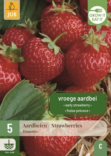 Aardbeienplanten Honeoye