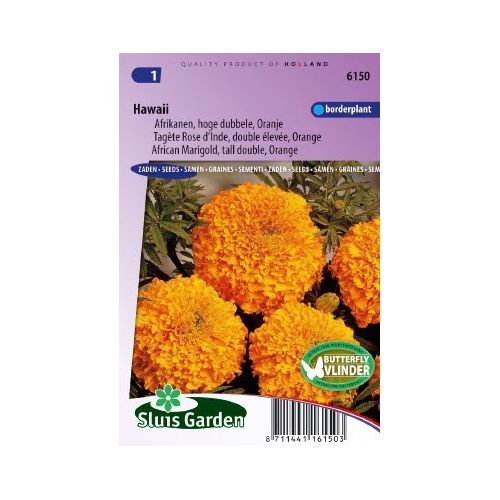 Tagetes Erecta zaden Hawaii afrikaantje