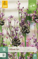 Allium art 10 bollen - afbeelding 3