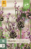 Allium art 10 bollen