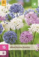 Allium buzzing beauties 15 bollen