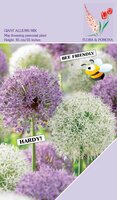 ALLIUM GIANT MIX PURPLE & WHITE 10 BOLLEN