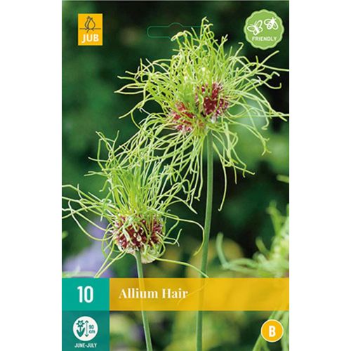 Allium hair 10 bollen - afbeelding 1