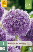Allium His Excellency 1 bol - afbeelding 3