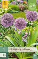 Allium party balloons 1 bol - afbeelding 3