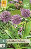 Allium party balloons 1 bol