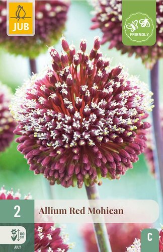 Allium red mohican 2 bollen - afbeelding 2