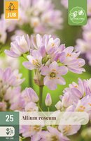 Allium Roseum 25 bollen