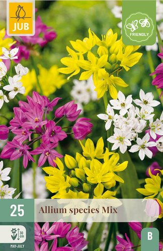 Allium species mix 25 bollen - afbeelding 2