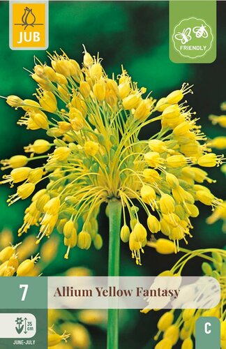 Allium yellow fantasy 7 bollen - afbeelding 3