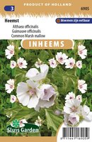Inheemse Althaea officinalis Heemst zaden