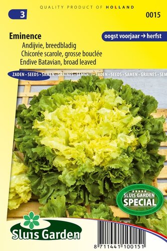 Andijvie zaden eminence