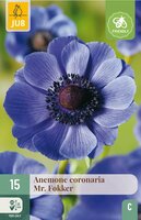 Anemone coronaria Mr. fokker - afbeelding 3