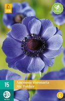 Anemone coronaria Mr. fokker - afbeelding 2