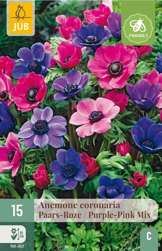 Anemone coronaria paars/roze mix 15 bollen - afbeelding 2