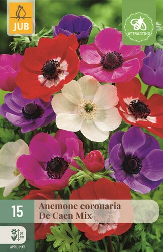 Anemoon coronaria de caen mix 15bollen