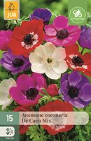 Anemoon coronaria de caen mix 15bollen