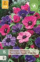Anemoon coronaria paars/roze mix 15 bollen