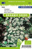 Anijs zaden Anijsplant BIO