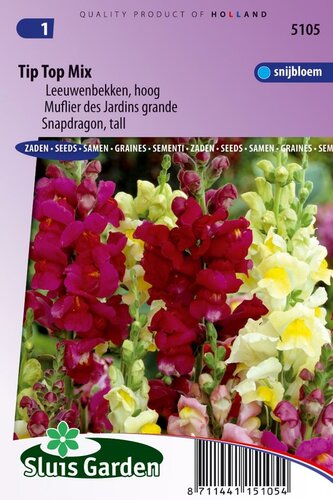 Antirrhinum Majus Maximum zaden Tip Top mix
