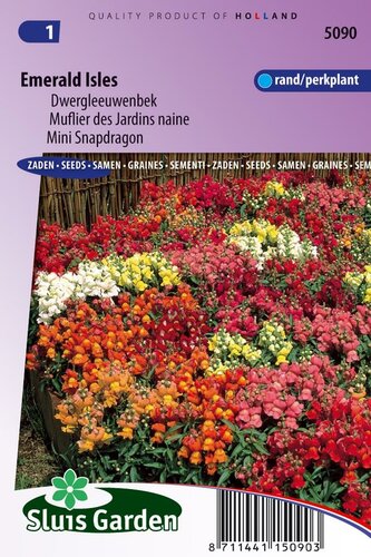 Antirrhinum Majus Pumilum zaden Leeuwenbek