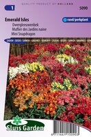 Antirrhinum Majus Pumilum zaden Leeuwenbek