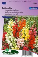 Antirrhinum Majus zaden Rainbow mix Leeuwebek