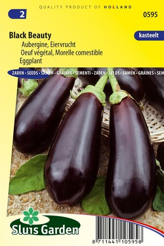 Aubergine zaden Black Beauty