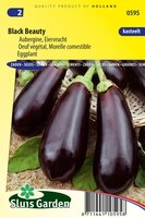 Aubergine zaden Black Beauty