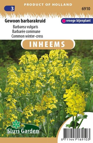 Inheemse Barbarea vulgaris Barbarakruid zaden