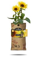 Baza hangtuintje bio mini zonnenbloem - afbeelding 1