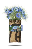 Baza hangtuintje bio nigelle - afbeelding 1