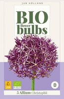 Bio allium christophii 5 bollen - afbeelding 3