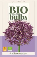 Bio allium christophii 5 bollen