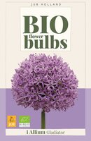 Bio allium gladiator 1 bol - afbeelding 1