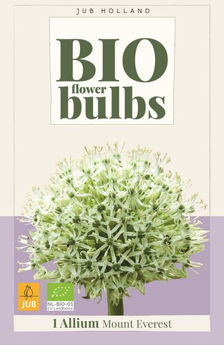 Bio allium mount everest 1 bol - afbeelding 1
