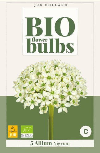 Bio allium nigrum 5 bollen - afbeelding 3