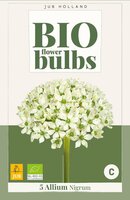 Bio allium nigrum 5 bollen - afbeelding 3