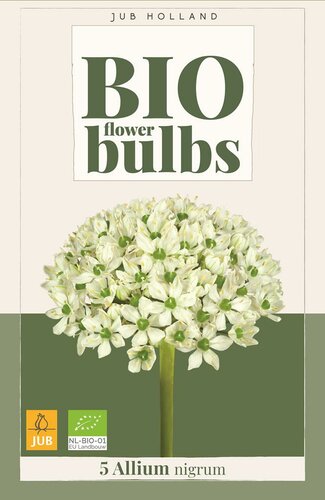 Bio allium nigrum 5 bollen - afbeelding 1