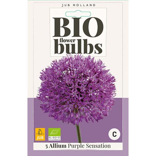 Bio allium purple sensation 5 bollen - afbeelding 1