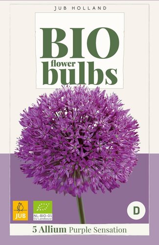 Bio allium purple sensation 5 bollen - afbeelding 4