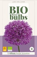 Bio allium purple sensation 5 bollen - afbeelding 4