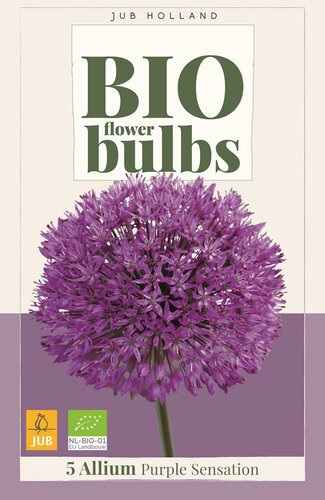 Bio allium purple sensation 5 bollen - afbeelding 1