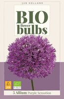 Bio allium purple sensation 5 bollen